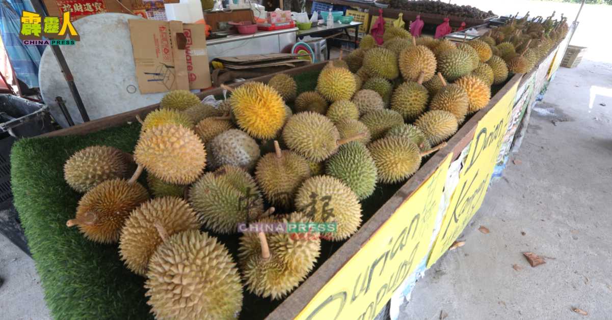 由於榴槤大丰收,市场供过於求,价格大跌,榴槤爱好者应把握时机,多次品尝美味榴槤,一饱口福。