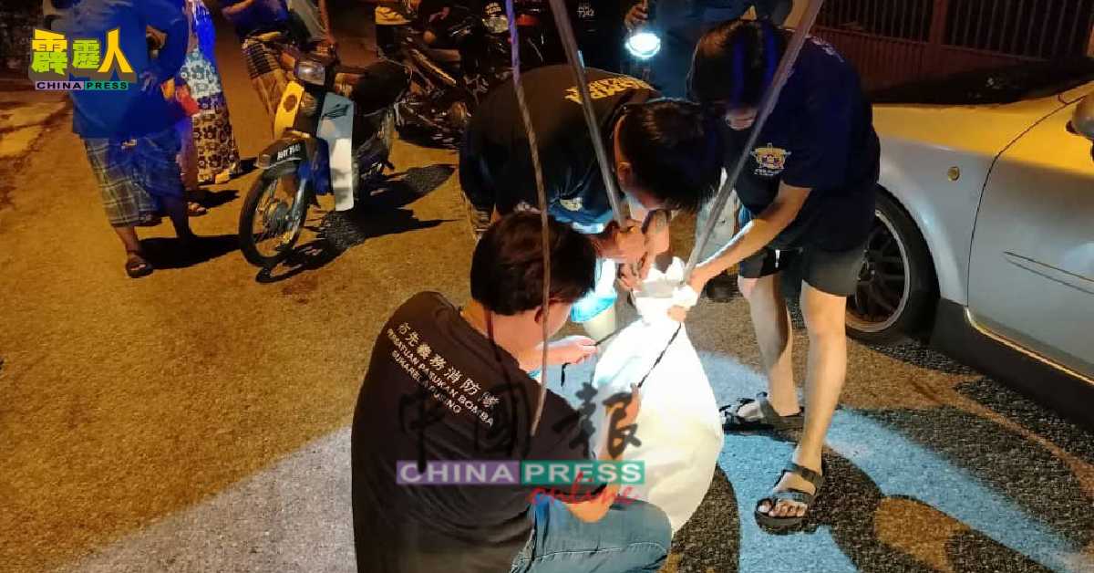 体型庞大的蟒蛇由三名队员小心翼翼地装入坚固袋中。