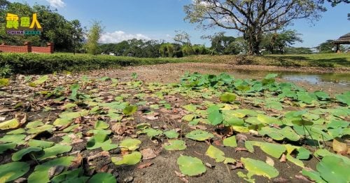 拉律山水源少80%  引入太平湖 填不满