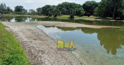裸露沙洲面积扩大  民众捡拾蚌壳当趣玩