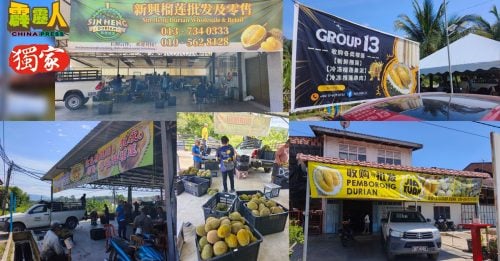 霹雳头条｜ 争相利民加地驻扎抢好货 价高者   得榴槤