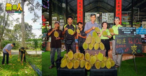 优惠10令吉．校方享半价 甘榜榴槤   吃到饱