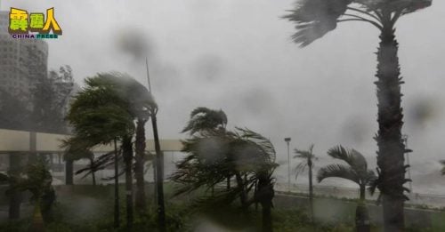 “桦加沙” 来袭｜ 不少人刚好回国 越南团雨天受困