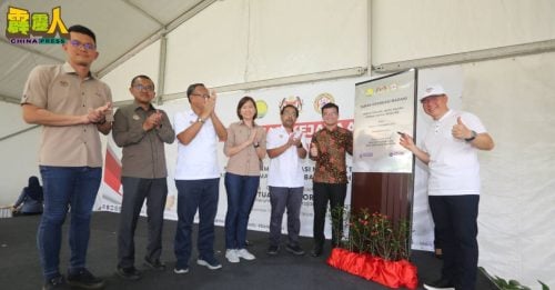 霹共有34座昌明公园 倪可敏：7座获上市公司领养